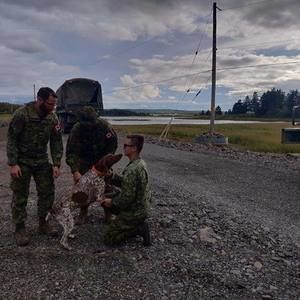 Meet your Posher, Dillon